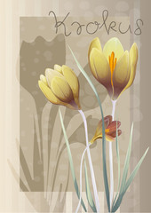 Romantic yellow Crocus with leaves and stripes