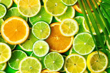 Citrus fruits slices texture background