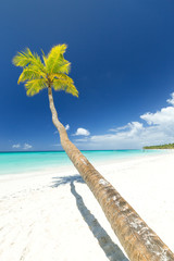 White sandy beach with sea and palms