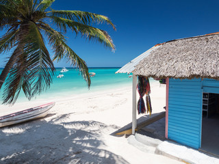 Typical caribbean house near Atlantic ocean beach with coconut palm tree