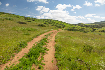 Fototapeta na wymiar Dirt Road In Lush Green Meadow Leading Into the Hills