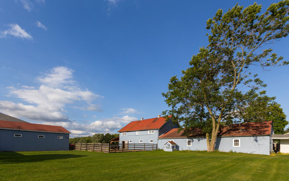 Barn and outbuildings on farm