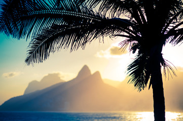 Scenic sunset view of Two Brothers Mountain framed by the silhouette of a palm tree in Ipanema Beach, Rio de Janeiro, Brazil 