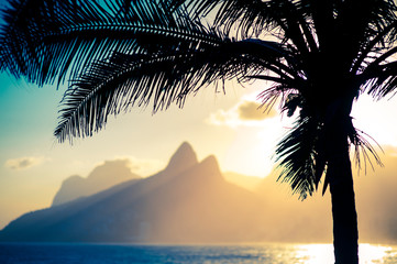 Scenic sunset view of Two Brothers Mountain framed by the silhouette of a palm tree in Ipanema...