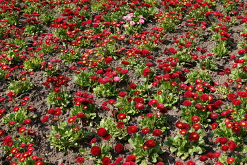 stadt emden,norddeutschland.