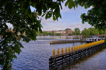 View through trees on cityscape picture of Vltava river in the downtown of Prague, capitol of Czech Republic in the spring sunny day, Czech national theatre with golden roof on opposite bank of river.