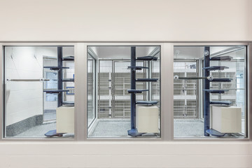 Glass viewing area windows of empty animal shelter