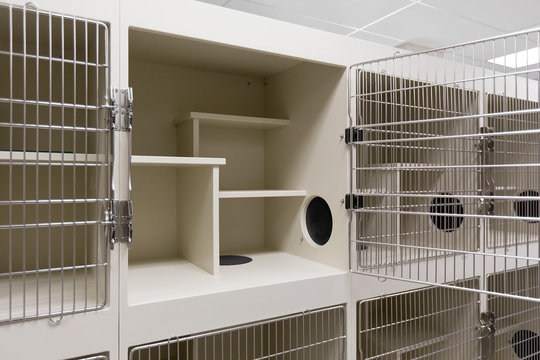 Metal doors of empty cages in animal shelter