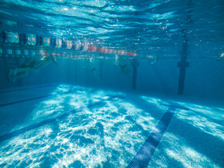 underwater view of pool with lines