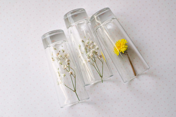 fragrance of flowers: gypsophila and dandelion flowers under glass shots; concept: summer memories
