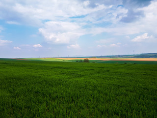 Green field of grass and blue sky with clouds in Bavaria, Germany