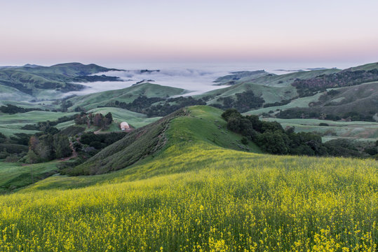 Rolling landscape viewed from grassy hilltop