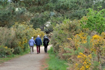 Promeneurs sur un sentier en Bretagne