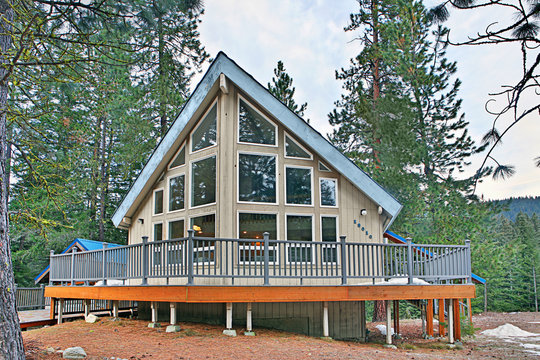 Modern cabin in rural forest
