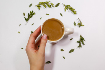 Healthy drink in White mug with a hot drink in the hands of girl on background of dry green petals on a white background. Composition of coffee mug with milk and dry green petals on paper background