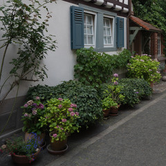 Fototapeta na wymiar Historisches Fachwerkhaus mit viel Grün in Heppenheim / Bergstrasse