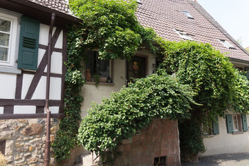 Historisches Fachwerkhaus mit viel Grün in Heppenheim
