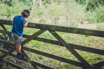 Little boy climbing the wooden gates