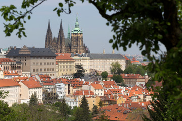 Obraz premium Spring Prague City with gothic Castle and the green Nature and flowering Trees from the Hill Petrin, Czech Republic