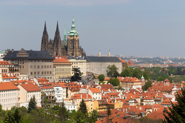 Obraz premium Spring Prague City with gothic Castle and the green Nature and flowering Trees from the Hill Petrin, Czech Republic