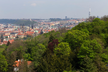 Spring Prague City with green Nature and flowering Trees from the Hill Petrin, Czech Republic