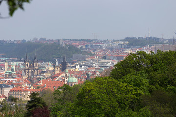 Fototapeta na wymiar Spring Prague City with green Nature and flowering Trees from the Hill Petrin, Czech Republic