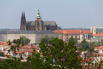 Obraz premium Spring Prague City with gothic Castle and the green Nature and flowering Trees from the Hill Petrin, Czech Republic