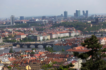 Fototapeta premium Spring Prague City with green Nature and flowering Trees from the Hill Petrin, Czech Republic