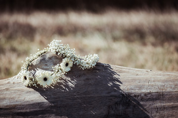 Couronnes de fleurs blanches fines posées sur un tronc 