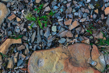 Top down view of shall rocks