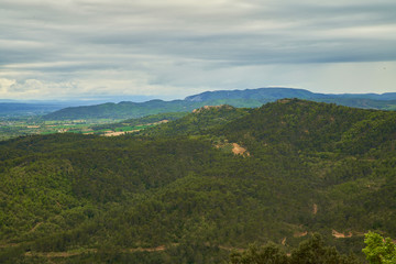 Fototapeta premium Forêt à perte de vue et au loin un village perché sur la colline