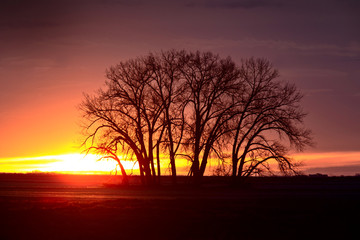 Obraz na płótnie Canvas Prairie Sunset Canada