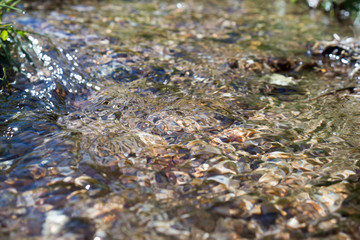 Beautiful stone texture of low running water