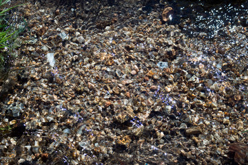 Beautiful stone texture of low running water