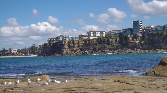 4k Video -Sunny calm day at Freshwater Beach in Sydney at the Northern Shores with puffy clouds in the background against the waterfront and some seagulls on the rocks in the foreground in Australia.