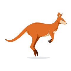 Kangaroo Jumping Isolated in White Background, Vector Illustration