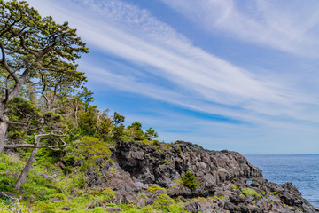 静岡県伊東市　城ヶ崎海岸