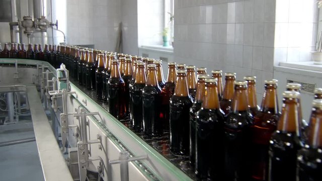 modern equipment of bottling beer in plant workshop, bottles with lager are moving
