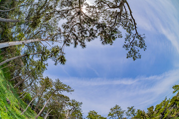静岡県伊東市　城ヶ崎海岸