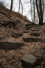Neat steps made of stones