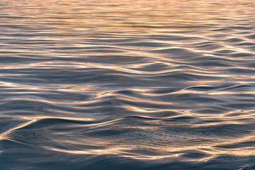 Close-up of soft sea waves at sea at sunset gold hour time, abstract background.