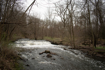 Waterfall in creek