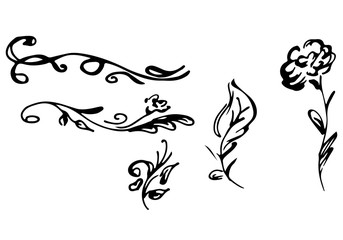 Hand Drawn  Illustrations Of Abstract Set of Flowers Isolated on White. Hand Drawn Sketch of a Flowers