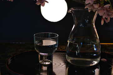 夜桜と月を肴に一献