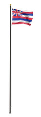 Fototapeta premium Hawaiian flag on a pole, isolated on a white background
