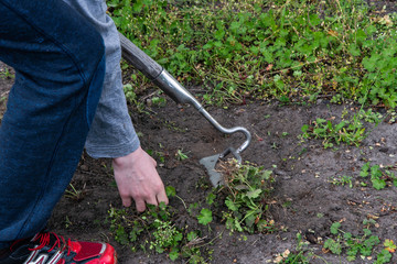 Man weeds the beds in the garden.