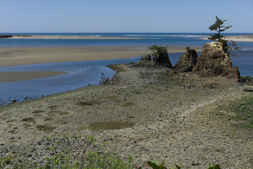 Siletz Bay at Schooner Creek