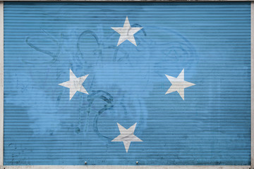 Fototapeta na wymiar Close-up of old metal wall with national flag of Federated States of Micronesia. Concept of Federated States of Micronesia export-import, storage of goods and national delivery of goods.
