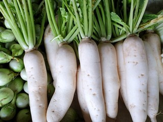 Top view of fresh radishes as a background for sale in the market at Thailand, for cooking, healthy food concept