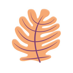 Abstract illustration of oak leaf. Organic concept style. Vector isolated on white